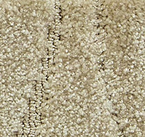 Ковролин Radici Glamour Avorio 1304 фото 1 | FLOORDEALER